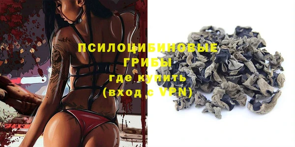 ПСИЛОЦИБИНОВЫЕ ГРИБЫ Дмитров
