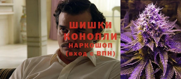 PSILOCYBIN Дмитровск