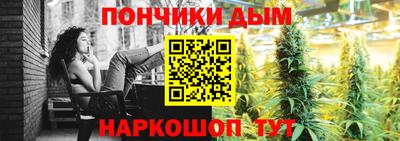 крисы Будённовск