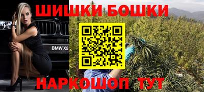 крисы Будённовск
