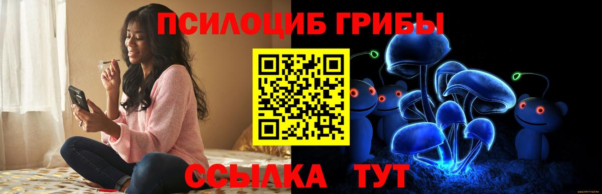 Галлюциногенные грибы Magic Shrooms  Вход с VPN  Елизово  Псилоцибиновые грибы прущие грибы 